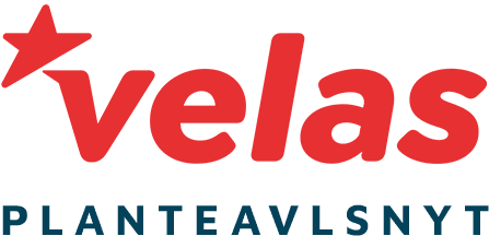 VKST Planteavlsnyt